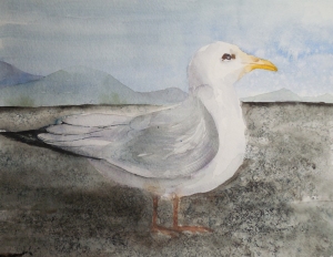watercolor painting of a sea gull